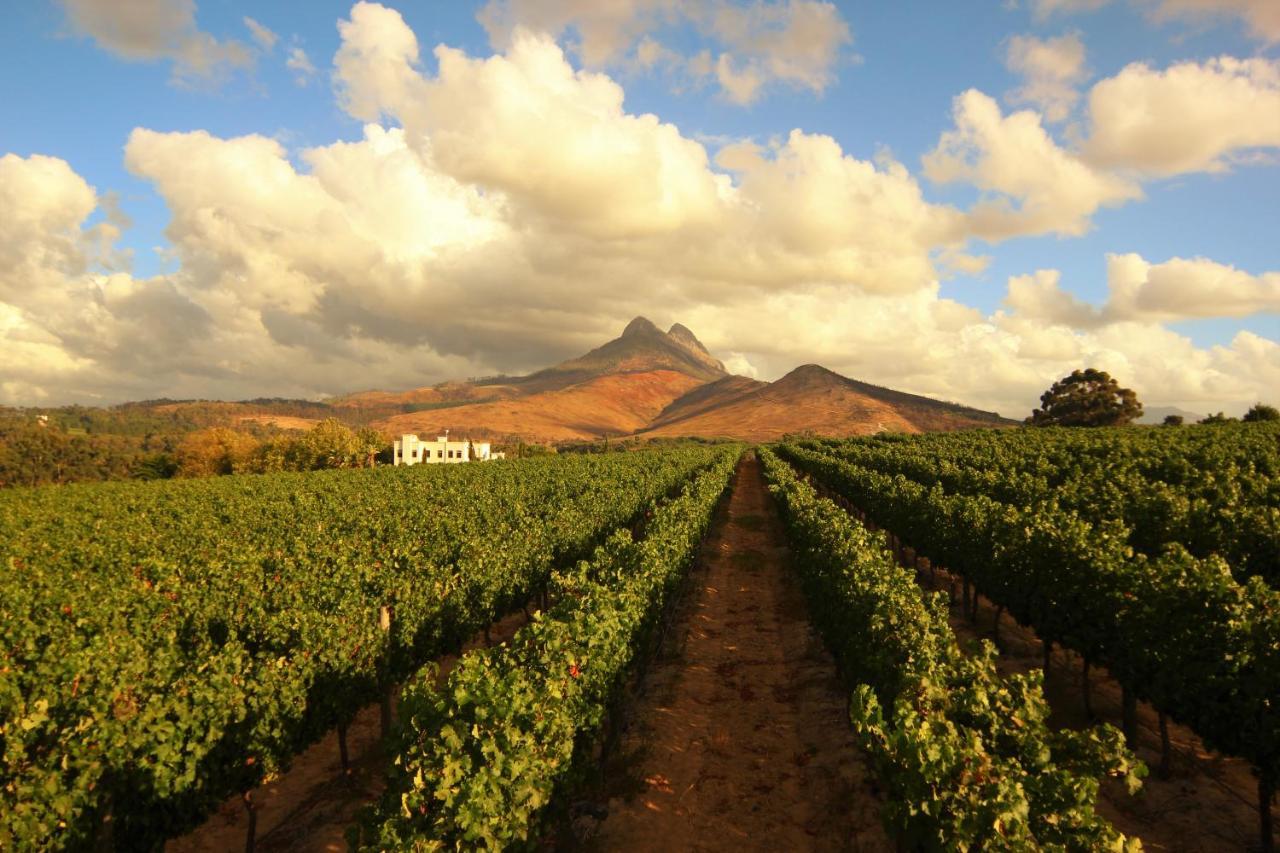 Mitre'S Edge Vineyard Studio Klapmuts Exterior foto